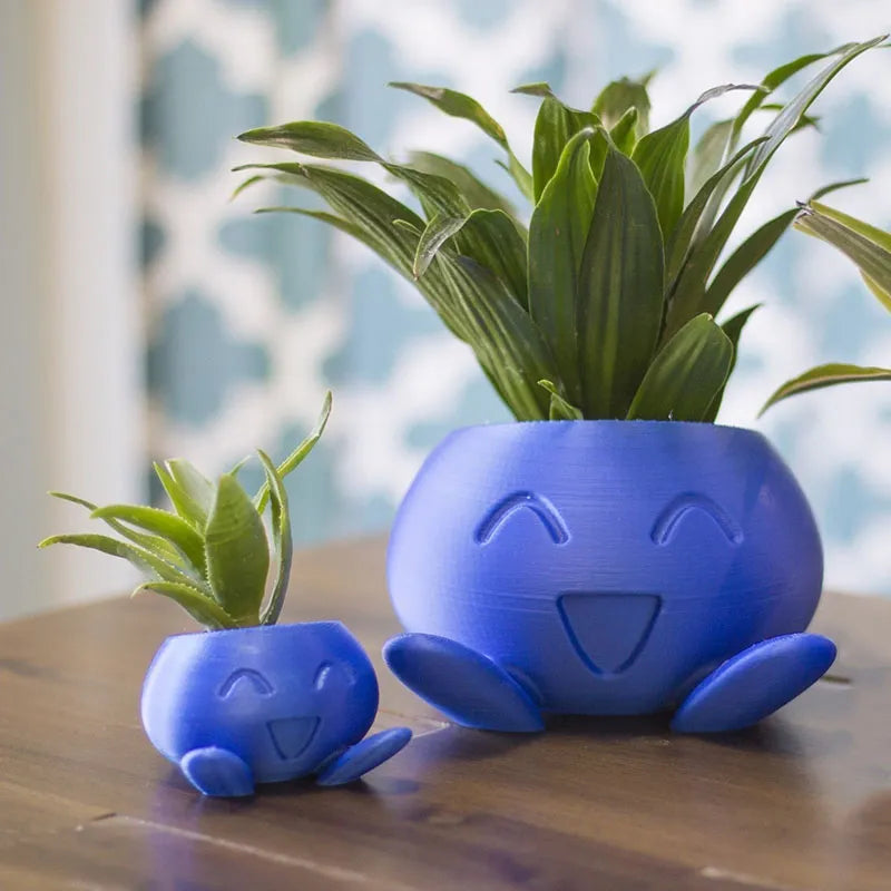 BlühBox – Bringen Sie Farbe und Freude in Ihr Zuhause