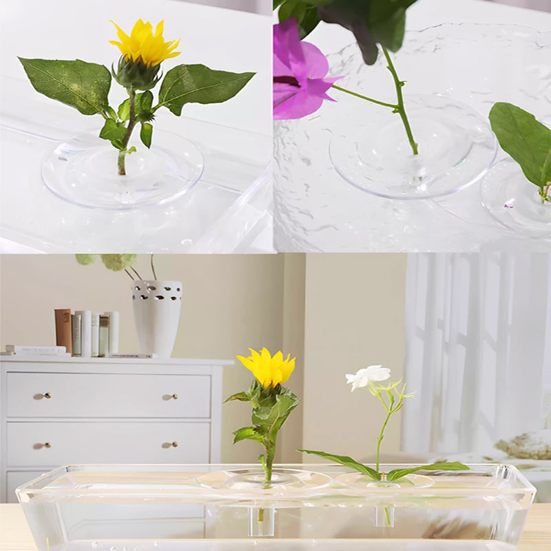 BlütenEleganz – Perfekte Präsentation für Ihre Blumen