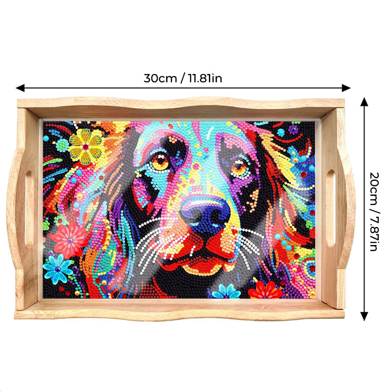 DIY Diamond Painting Kit