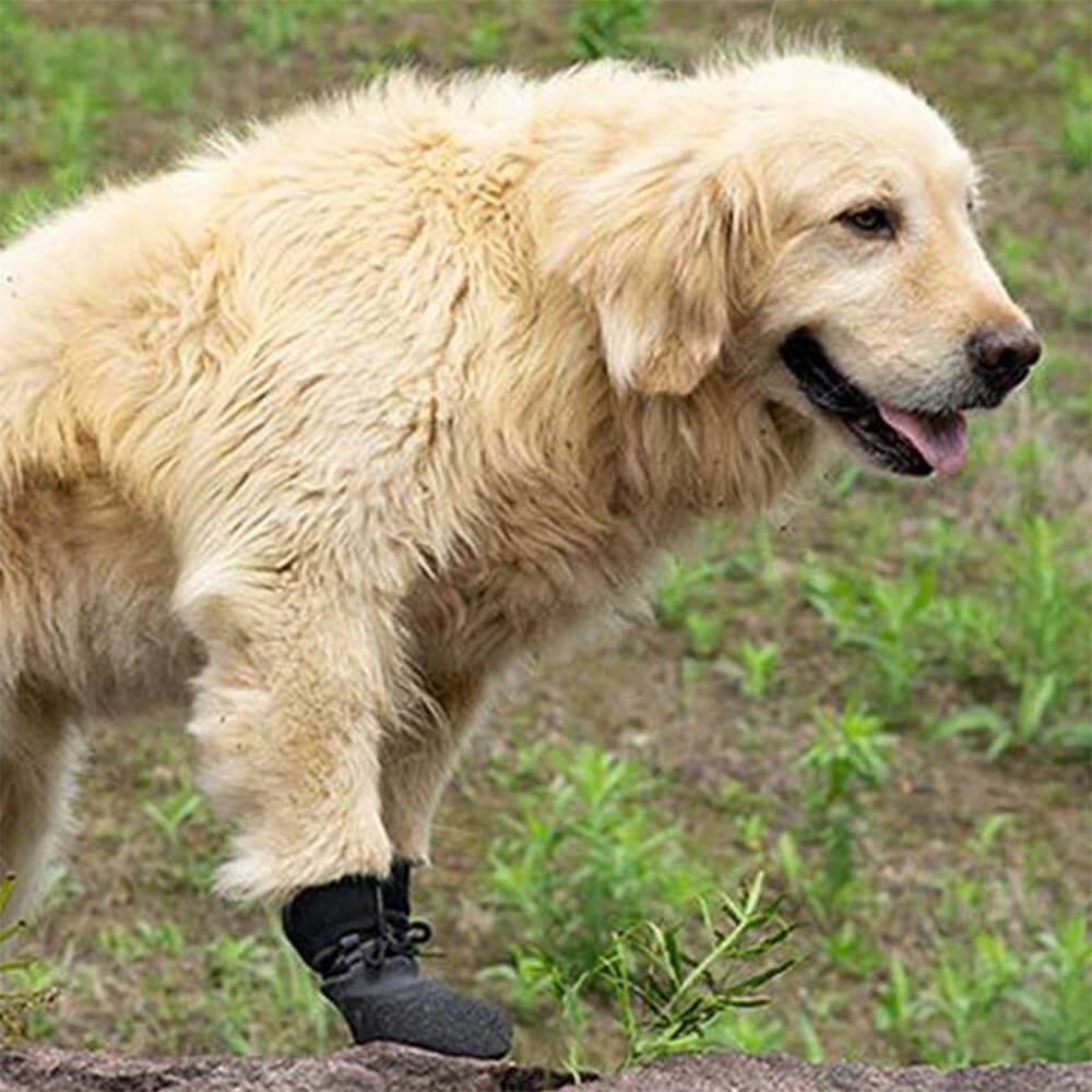 Waterproof Dog Boots for Outdoor Adventures