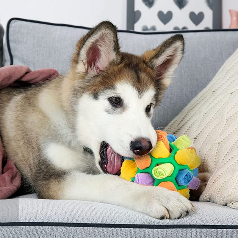 SnuffelBall | Interaktives Spielzeug für Hunde