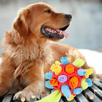 SnuffelBall | Interaktives Spielzeug für Hunde