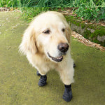 Waterproof Dog Boots for Outdoor Adventures