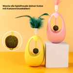 Interactive Catnip Toy for Healthy Activity
