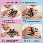 Ball in 3D Maze Puzzle