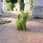 Lebendige Gartenverzierung – Verwandeln Sie Ihren Außenbereich!
