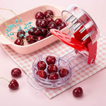 Kirschen ohne Mühe entsteinen mit dem CherryMaster™