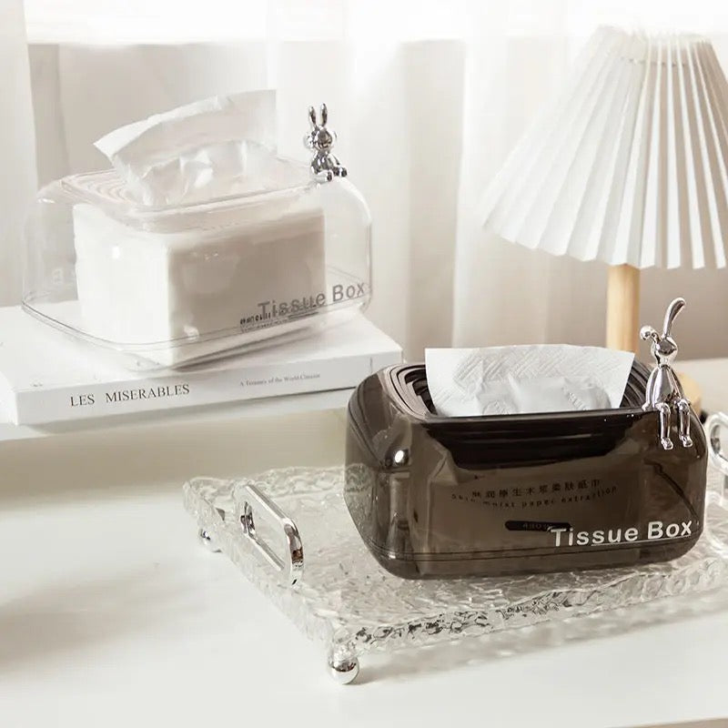 Acrylic Tissue Box in Modern Design