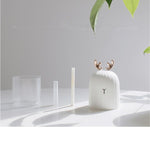 Aromatic Essence Diffuser with Gentle Lights
