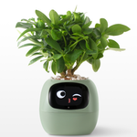 EmojiTopf | Verspielter Blumentopf für jeden Raum