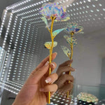 10 Stück Ewige Glanzrosen LumiRose
