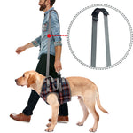 Support harnesses for dogs with hind leg weakness