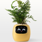EmojiTopf | Verspielter Blumentopf für jeden Raum