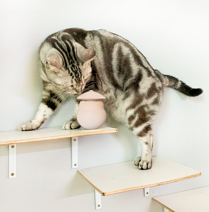 FelineFun | Automatic Laser Cat Teaser Toy