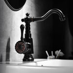 Elegant kitchen faucet with swivel spout and lever handle