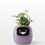 EmojiTopf | Verspielter Blumentopf für jeden Raum