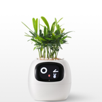 EmojiTopf | Verspielter Blumentopf für jeden Raum