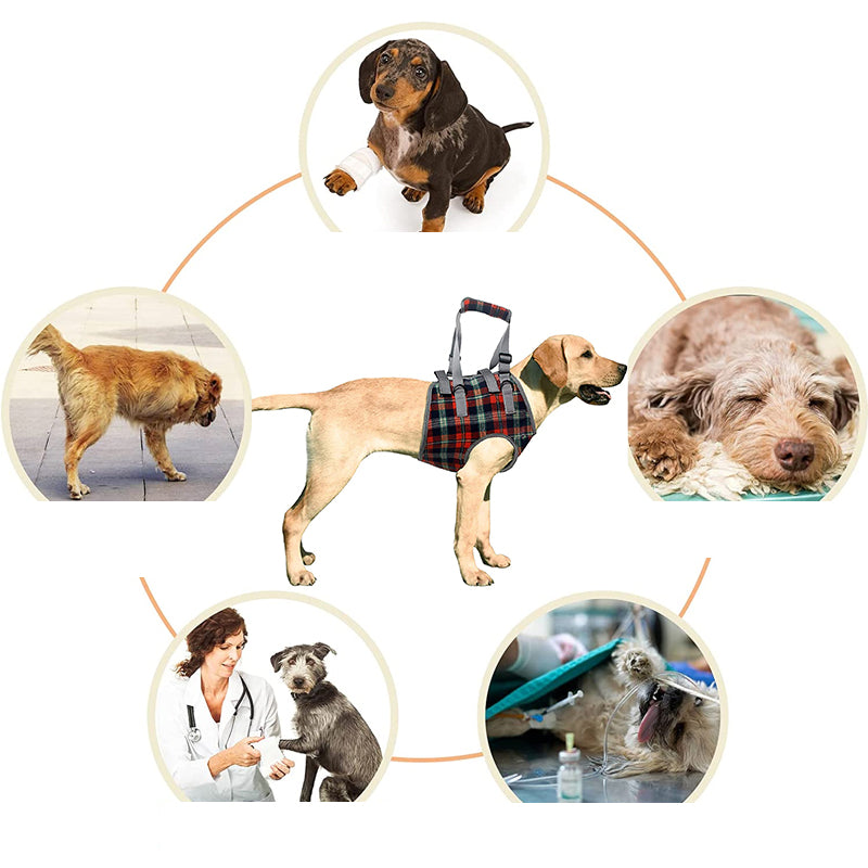 Support harnesses for dogs with hind leg weakness