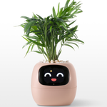EmojiTopf | Verspielter Blumentopf für jeden Raum