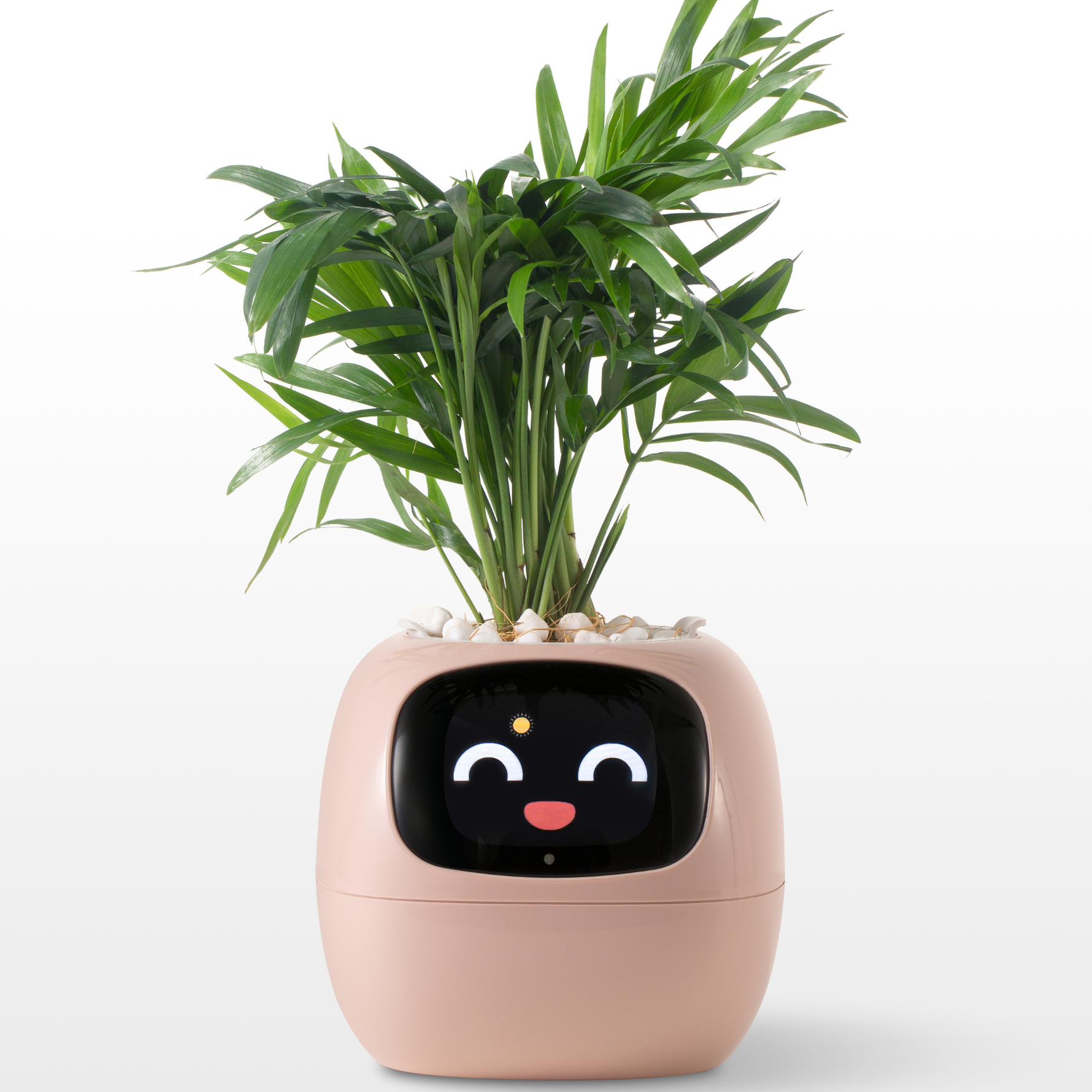 EmojiTopf | Verspielter Blumentopf für jeden Raum