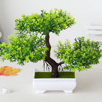 Green Potted Houseplant – Atmospheric Table Decoration for Every Season