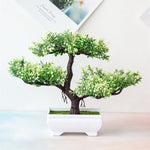 Green Potted Houseplant – Atmospheric Table Decoration for Every Season