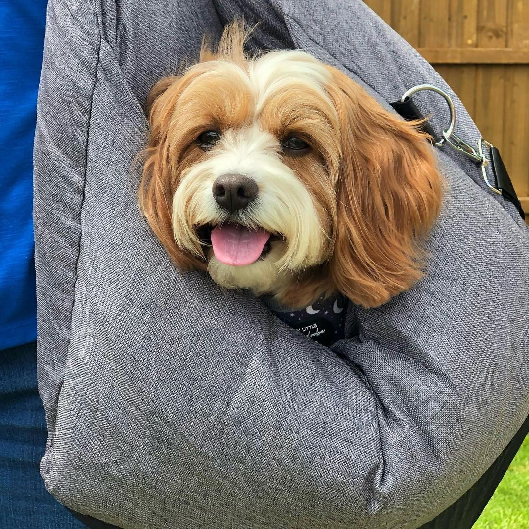 PetSafe Reiseplatz | Hundeautositz für sichere Fahrten