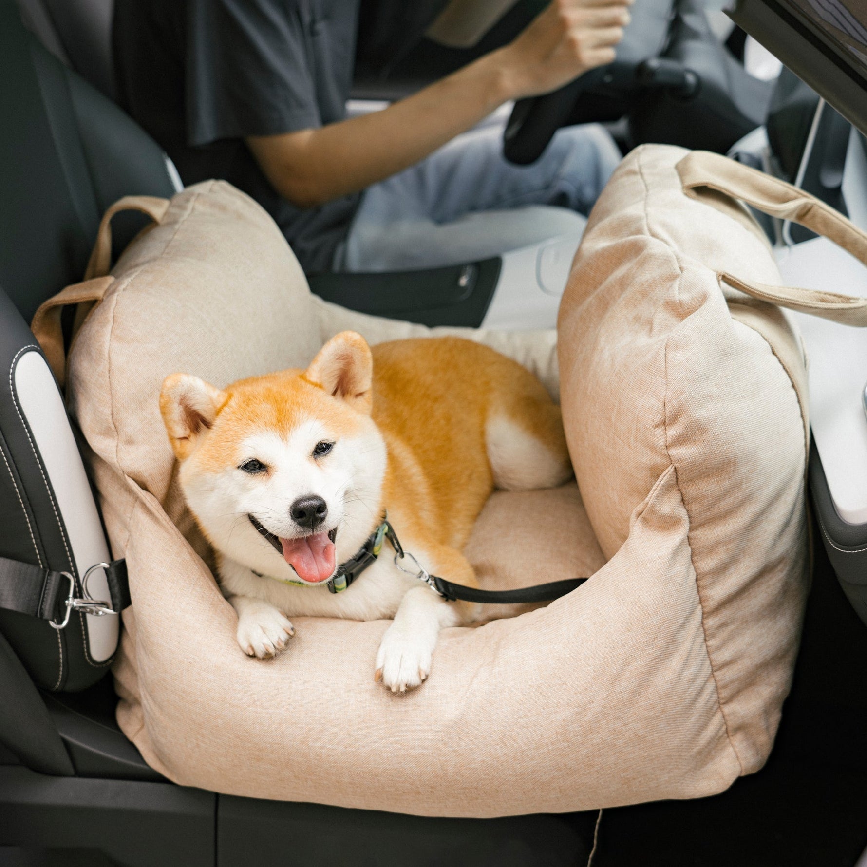 PetSafe Reiseplatz | Hundeautositz für sichere Fahrten