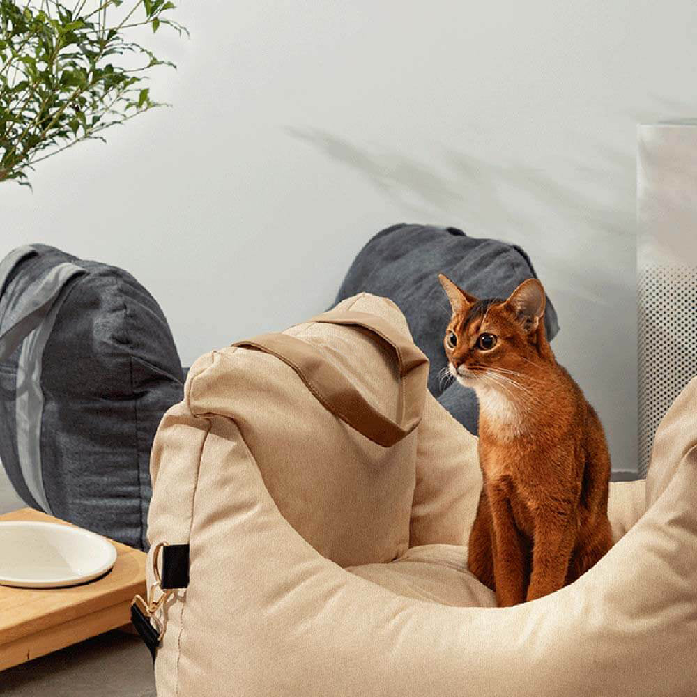 PetSafe Reiseplatz | Hundeautositz für sichere Fahrten