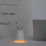 Aromatic Essence Diffuser with Gentle Lights