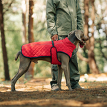 Hunde-Wintermantel – Für warme und sichere Spaziergänge