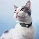 FidoVision | Wearable 160° Pet Camera for Cats & Dogs with 1080P HD Video – 32GB