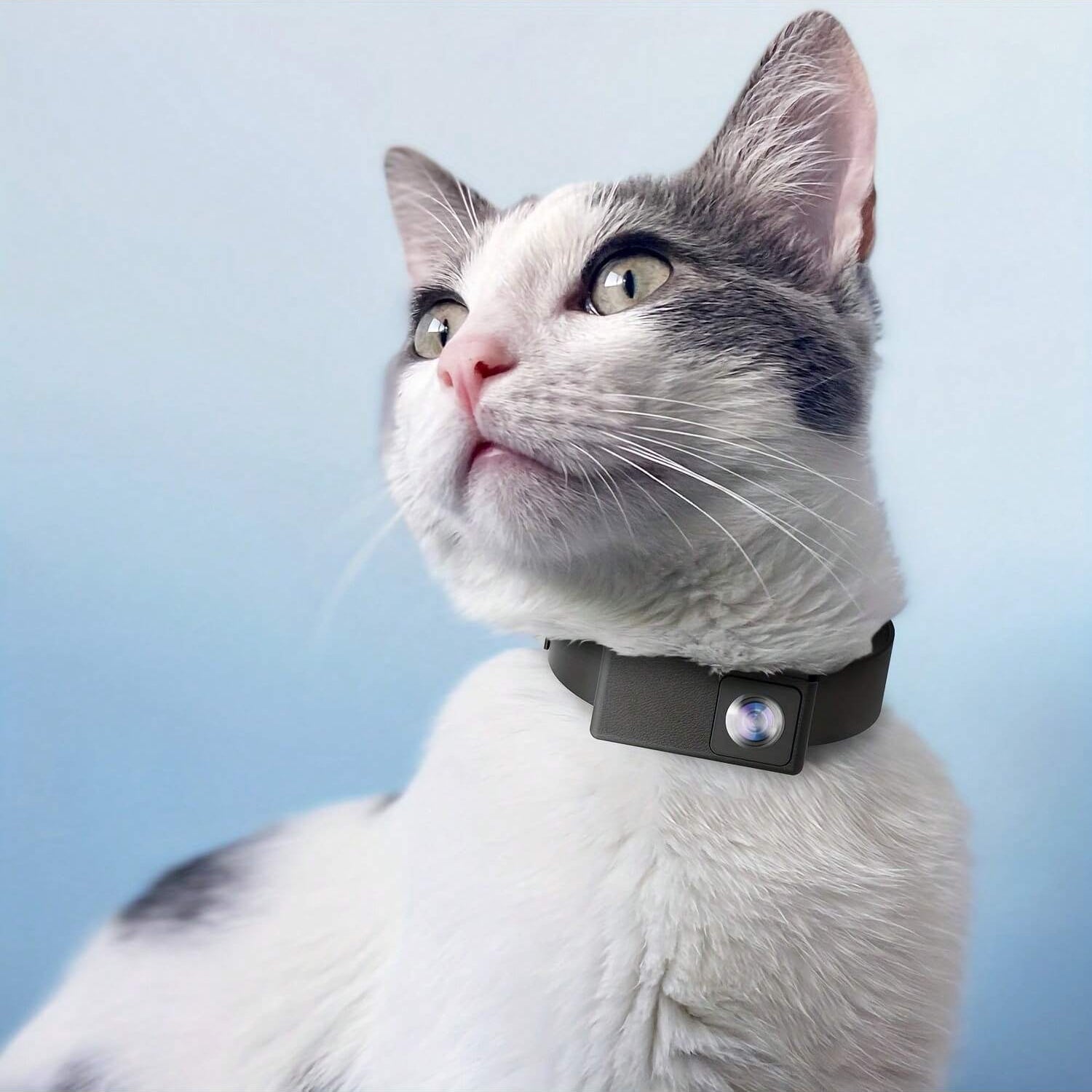 FidoVision | Wearable 160° Pet Camera for Cats & Dogs with 1080P HD Video – 32GB