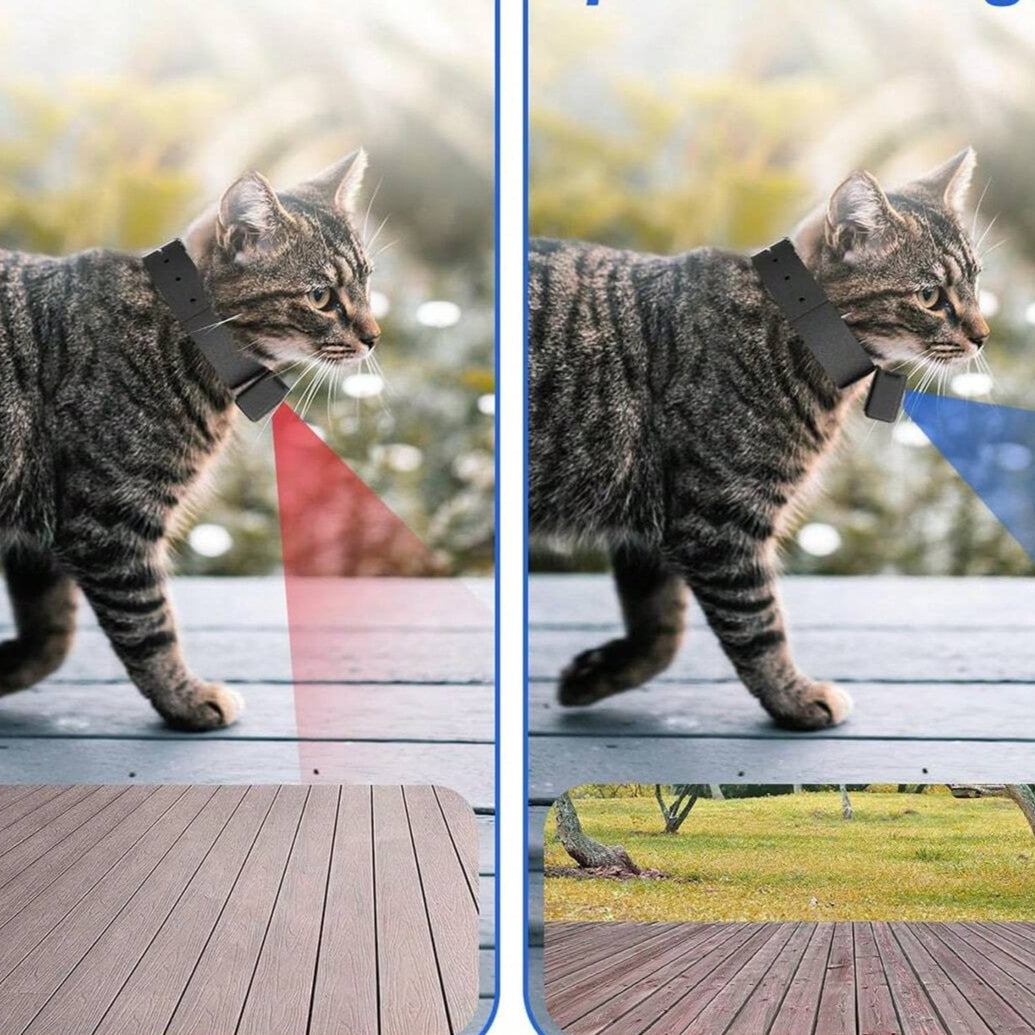 FidoVision | Wearable 160° Pet Camera for Cats & Dogs with 1080P HD Video – 32GB