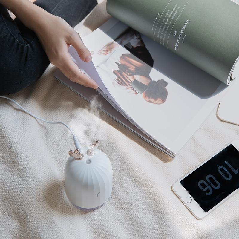Aromatic Essence Diffuser with Gentle Lights