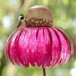 Bird Paradise in the Garden | NaturNest - Elegant Bird Feeder