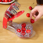Kirschen ohne Mühe entsteinen mit dem CherryMaster™