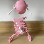 Lively 3D Skull Toy for vibrant moments