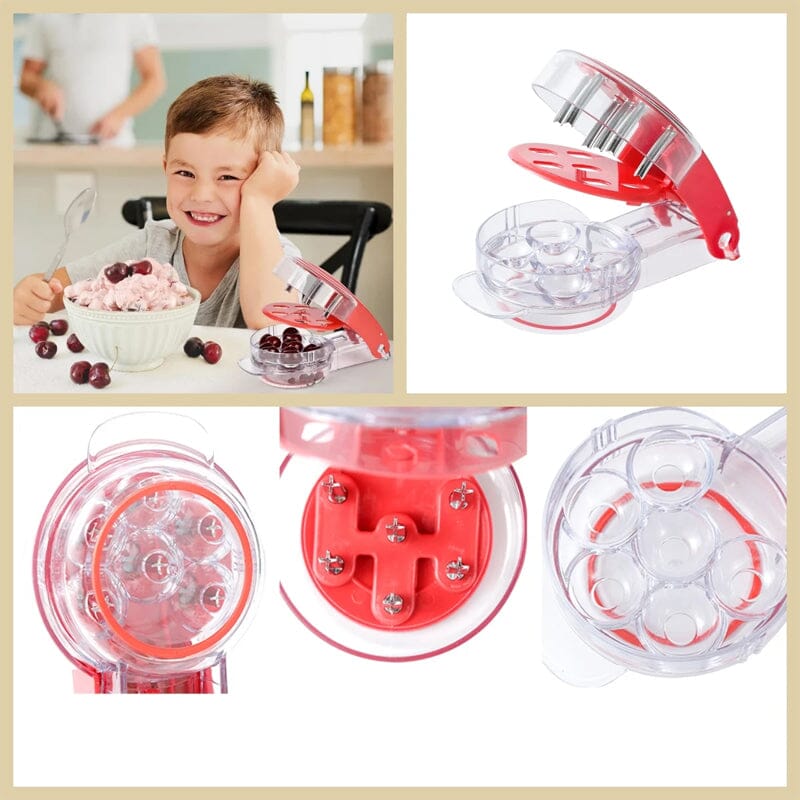 Kirschen ohne Mühe entsteinen mit dem CherryMaster™
