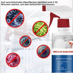 Cleaning Foam against Mold