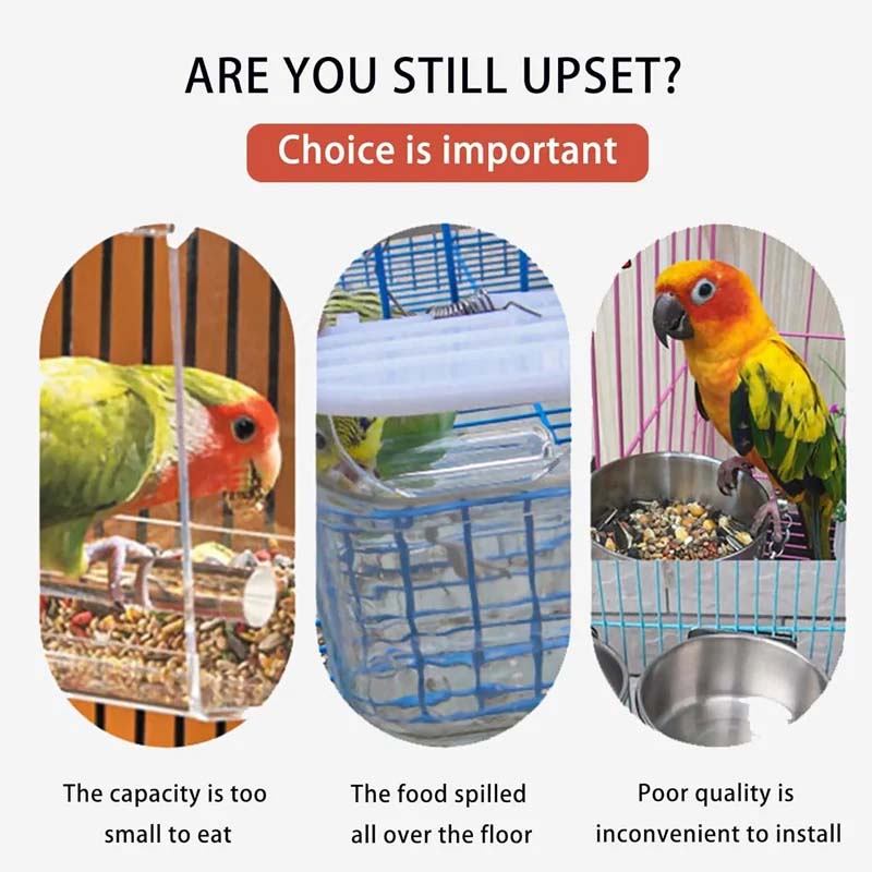 Automatic overflow protection for transparent bird feeders