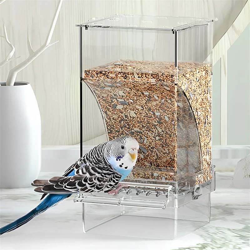 Automatic overflow protection for transparent bird feeders