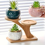 Three-Tier Bamboo Plant Stand – Tree-Shaped Display for Indoor Plants