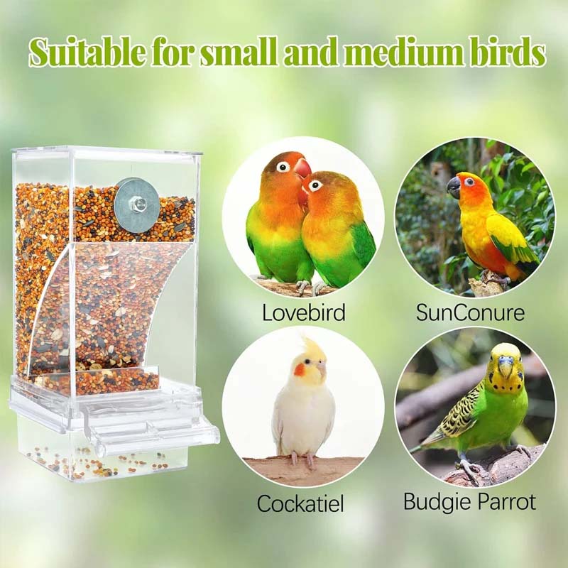 Automatic overflow protection for transparent bird feeders