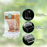Automatic overflow protection for transparent bird feeders