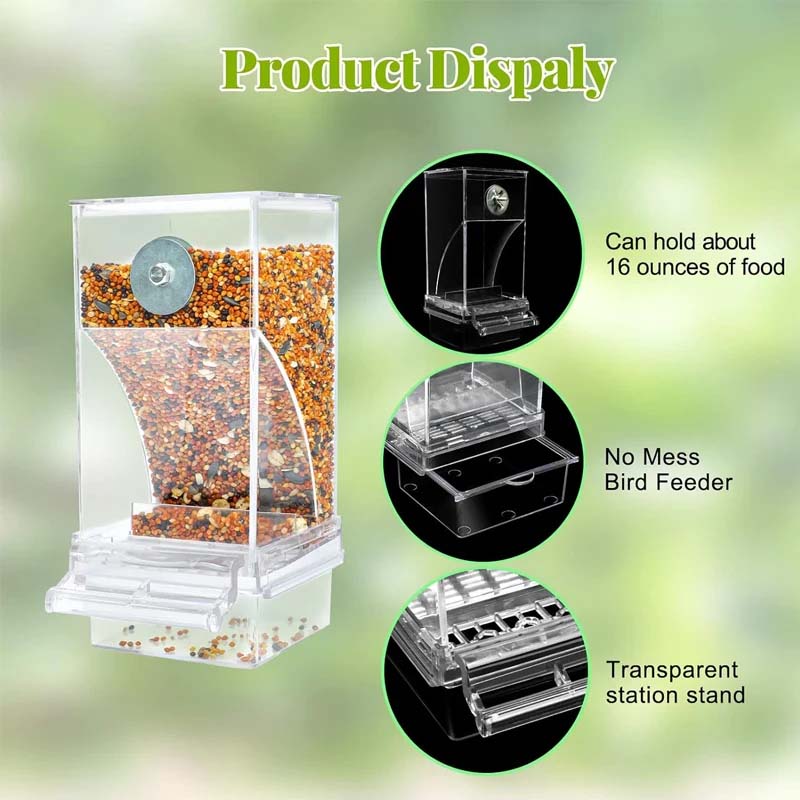 Automatic overflow protection for transparent bird feeders