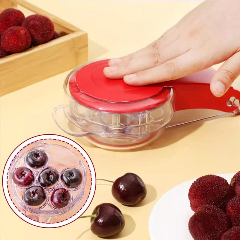 Kirschen ohne Mühe entsteinen mit dem CherryMaster™