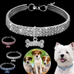 Sparkling Canine Friendship: Stylish Collar