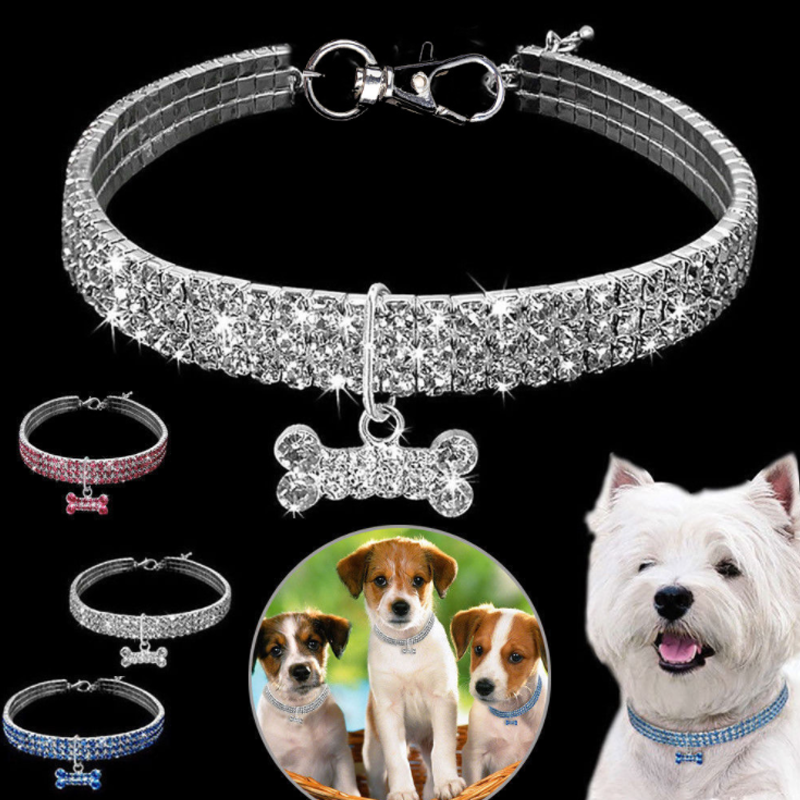 Sparkling Canine Friendship: Stylish Collar