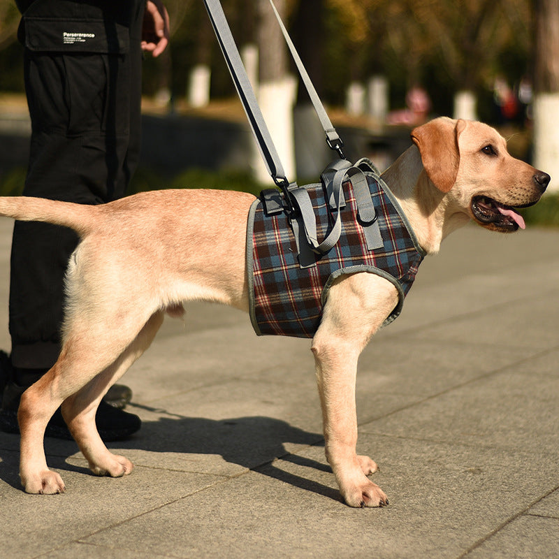 Support harnesses for dogs with hind leg weakness